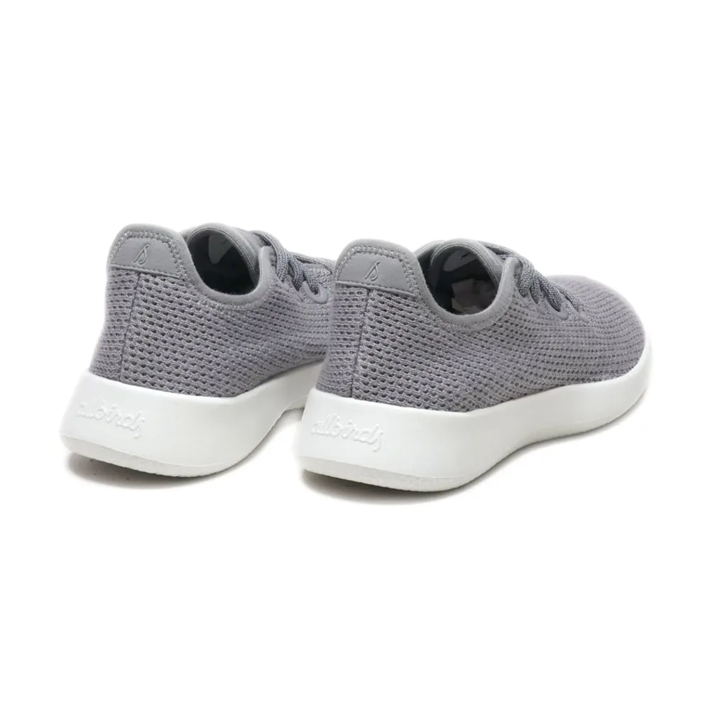 Allbirds Tree Runner Sport Shoes Leather Grey Colour For Women