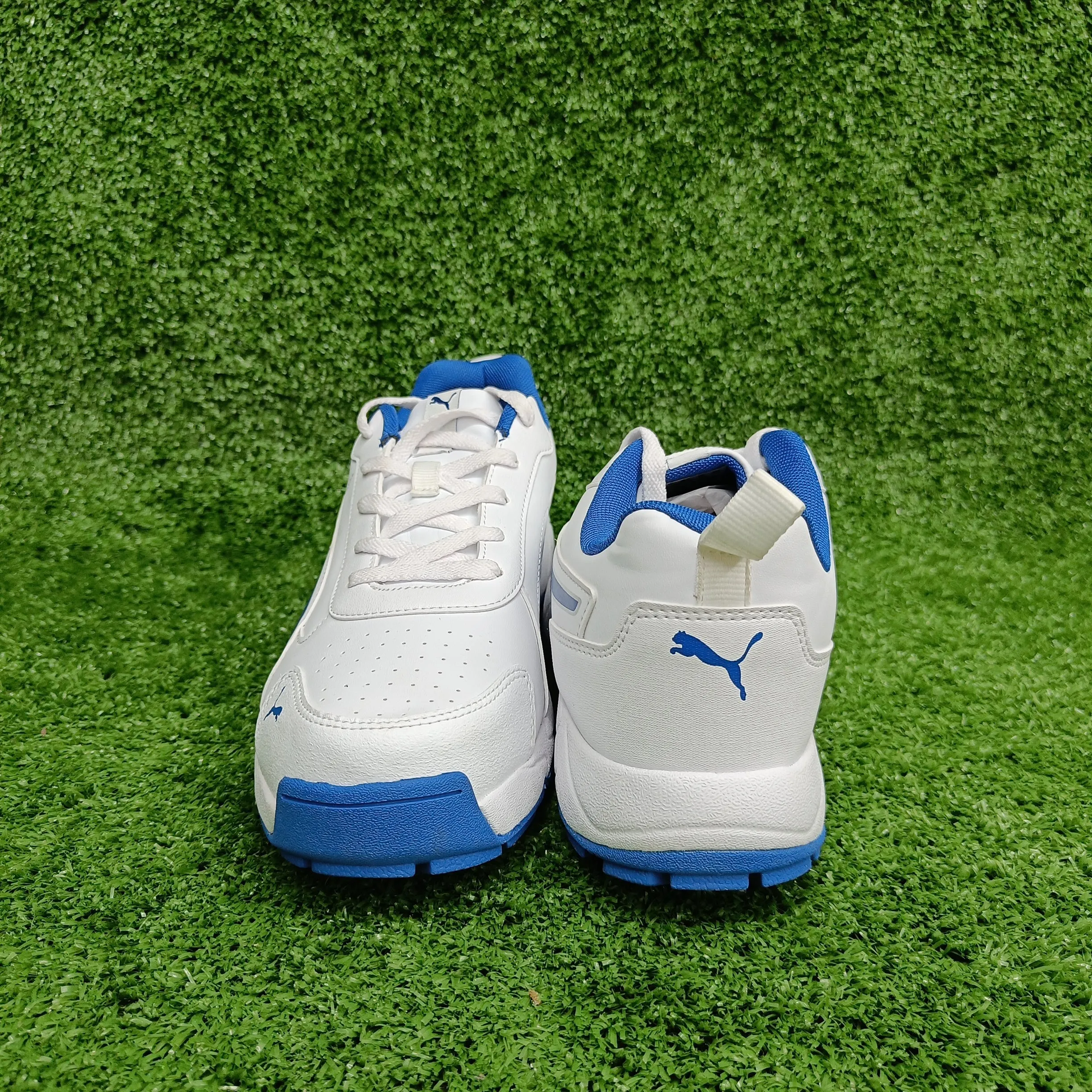 Puma White/ Blue Team Royal Cricket Shoes