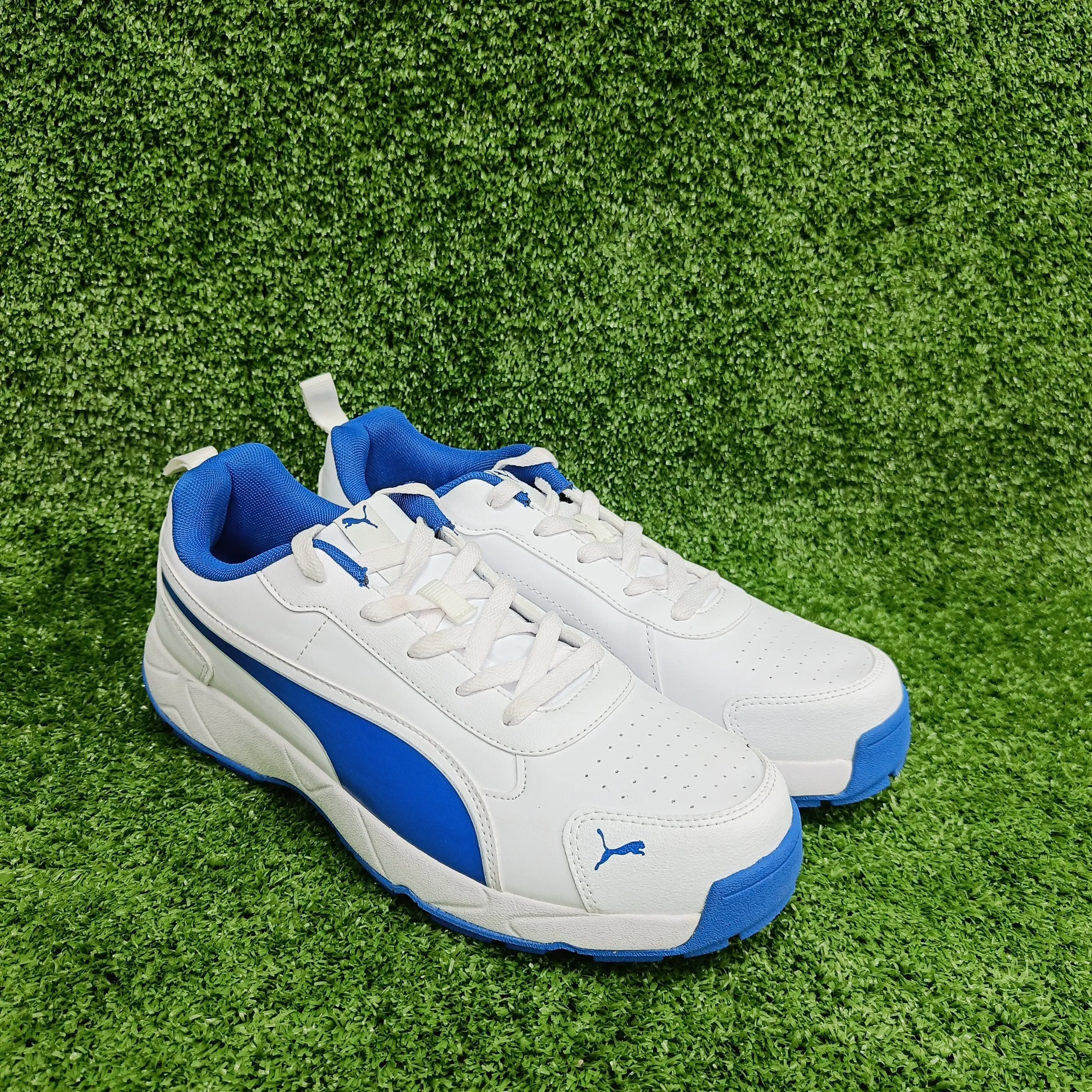 Puma White/ Blue Team Royal Cricket Shoes