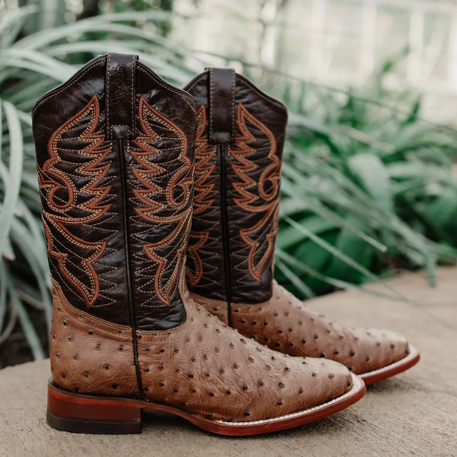 Soto Boots Women's Ostrich Print Cowgirl Boots M8002 Tan